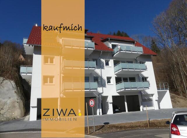 NEUBAUWOHNUNG, 3,5-Zi, mit Aufzug und Aussicht, EbK, Ga uvm.
