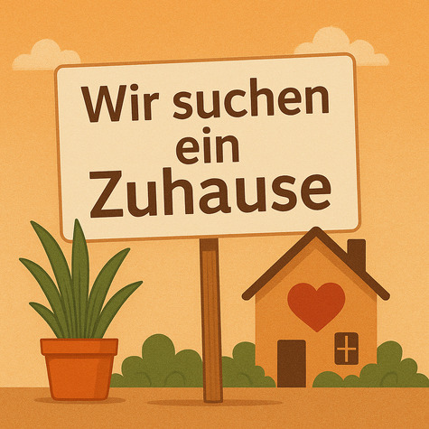 Suche 2-3 Zimmer Wohnung in Steinen oder Schopfheim