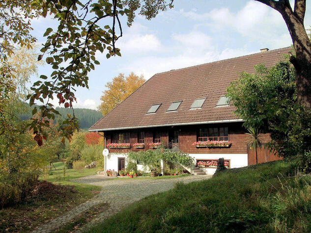 Liebhaberobjekt im Grnen