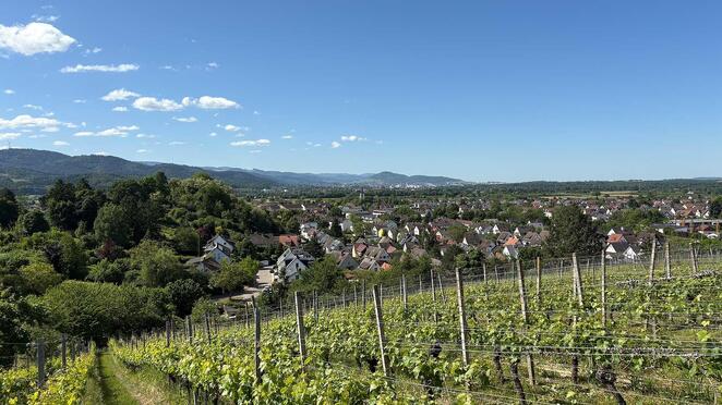 Perfekt fr Eigennutzer oder zur Vermietung