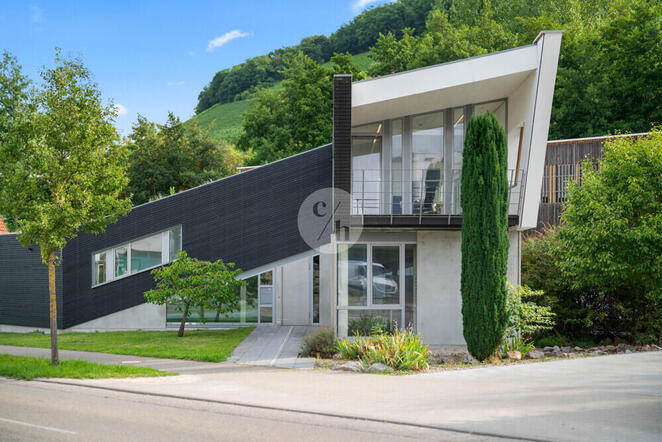 Zur Miete: Moderne & reprsentative Broflche in guter Lage in Sulzburg