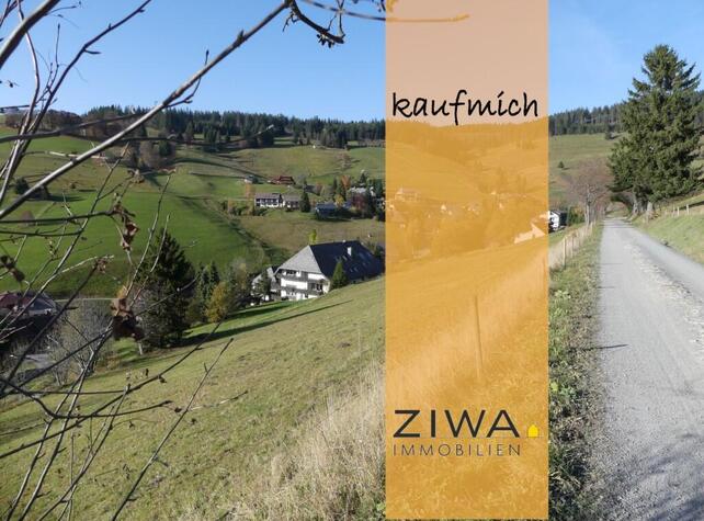Wochenenddomizil in Hhenlage, 1,5 Zi mit viel Ruhe und Weitblick