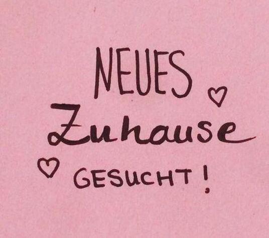 Familie sucht dringend 3-4 zi Wohnung in Btzingen