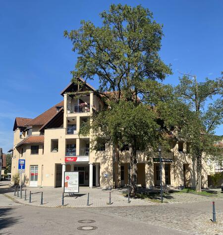 Kapitalanlage/Eigennutzung