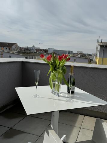 Top 3 Zi Penthouse Whg Weil a. Rh.