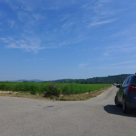 Grundstck mit viel Potenzial!