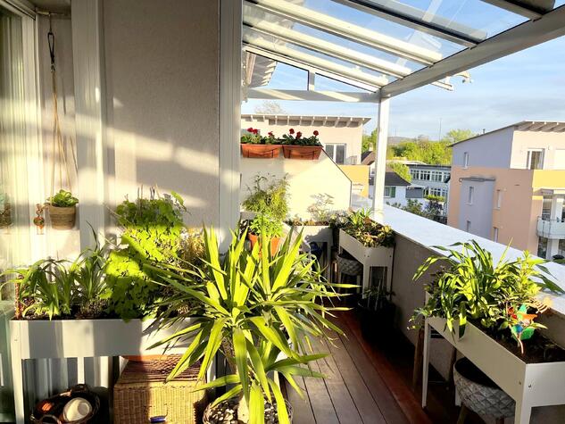 Besondere Attika-Wohnung mit groer Dachterrasse und KFW 70 Standard- ideal fr Grenzgnger