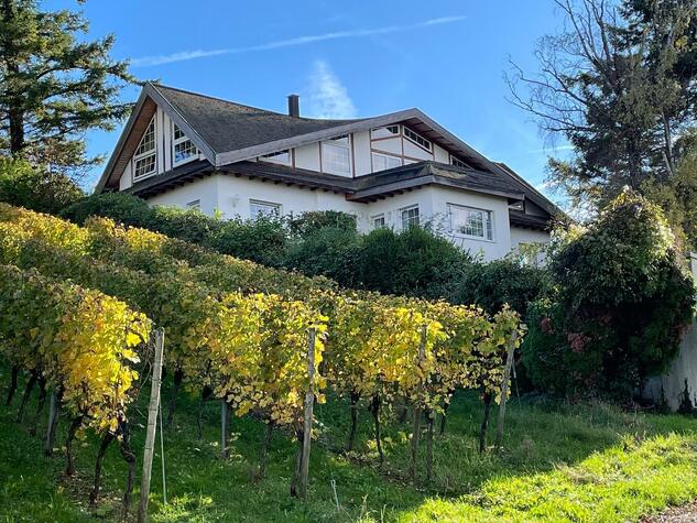 Villa am Schlossberg