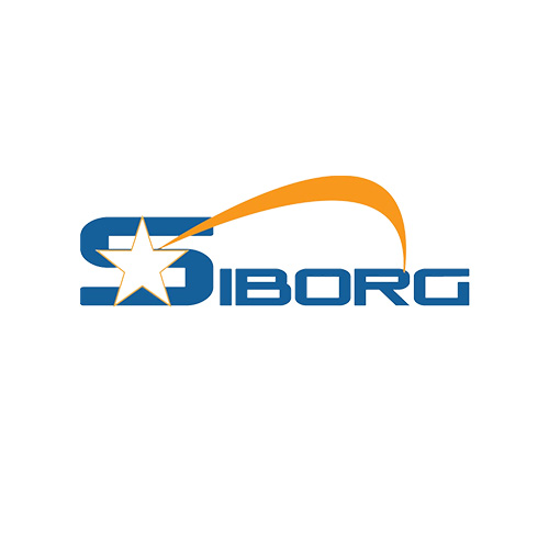 Siborg Srl