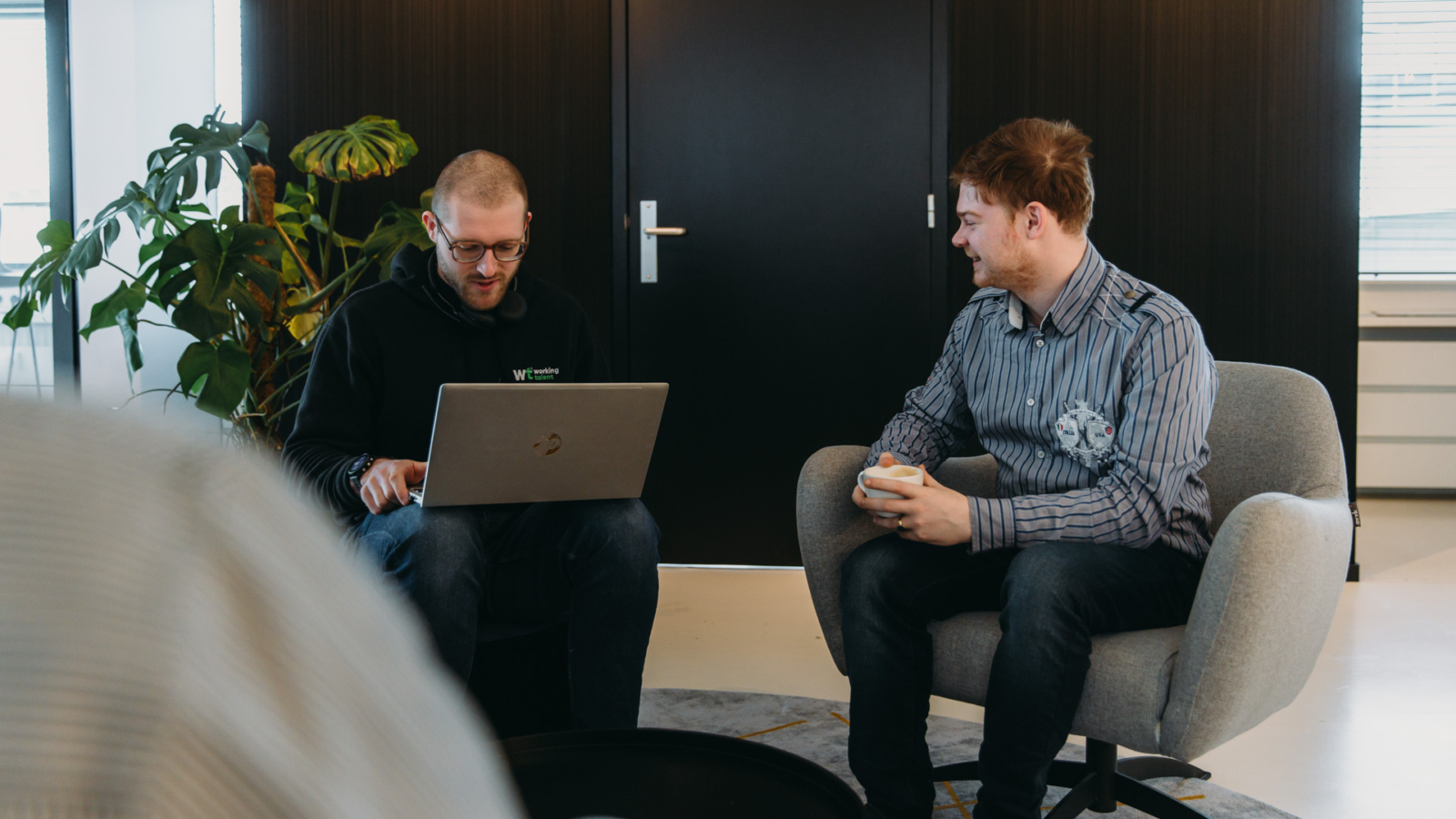 .NET Developer