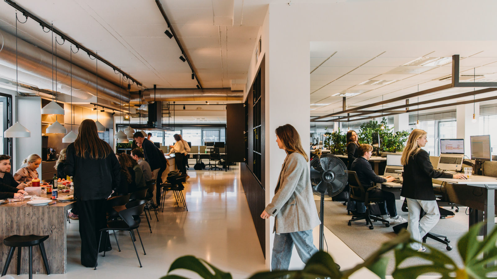 WT Kantoor selectie Crops19