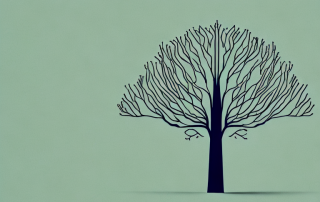 Four distinct phases