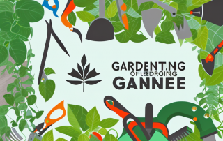 A variety of gardening tools like spades