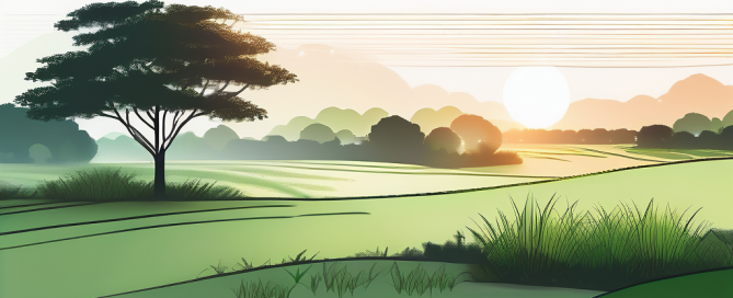 Unentwickeltes Grundstueck bei Sonnenaufgang, fruchtbare Landschaft und Symbolik neuer Anfaenge in der Immobilienentwicklung.