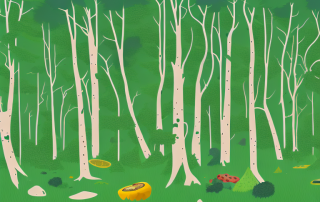 A forest scene with visible signs of wildlife damage