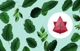 A blood bag connected to a leafy plant