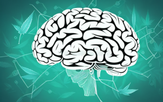A stylized human brain with symbols of cannabis leaves and neurotransmitters