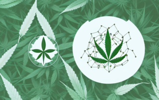 A cbd molecule structure surrounded by various natural elements like leaves and flowers