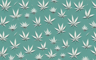 A variety of cannabis flowers in a medical setting