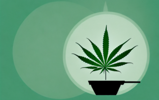 A vibrant cannabis plant growing in a pot