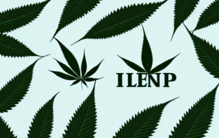 A hemp plant with its leaves subtly shaped like pain relief symbols