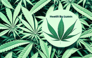 A healthy female cannabis plant with highlighted features such as the buds and leaves