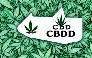 A cbd oil dropper with a few hemp leaves in the background to represent the effects of cbd