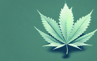 A cannabis leaf in a stormy environment