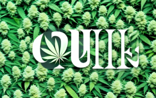 Several different cannabis flower varieties