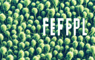 A field of industrial hemp plants with a backdrop of a factory