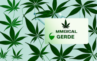 A medical cannabis plant growing in a well-structured indoor garden