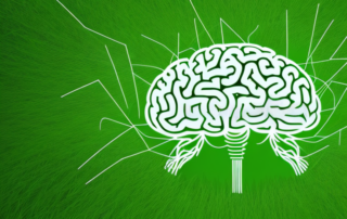 A brain surrounded by blades of grass