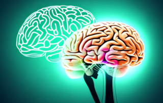 A human brain with different areas highlighted or illuminated