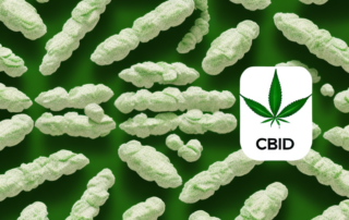 A variety of cbd capsules placed in a peaceful