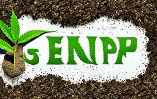 Hemp seeds germinating in soil with a spotlight on the sprouting plant