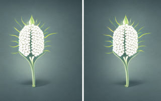 Two contrasting scenes side by side