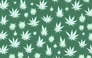 A variety of cannabis flowers in a medical setting