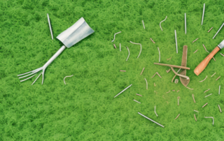 A field of mature hemp plants with various tools typically used for harvesting such as a sickle