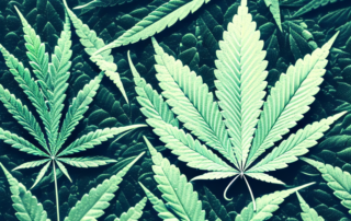 A cannabis leaf enshrouded in a dark cloud
