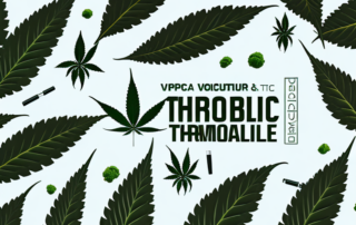 Various thc products such as edibles