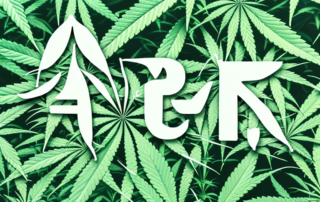 A male and female cannabis plant side by side