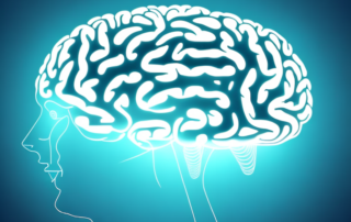 A human silhouette with highlighted areas such as the brain and other organs