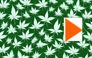 A lush cannabis farm with various medical tools and the german flag subtly integrated into the scene