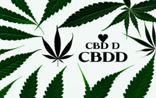 A variety of cbd oil products derived from hemp
