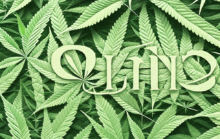 A variety of hemp leaves spread out