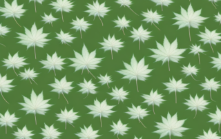 Various plants such as japanese maple