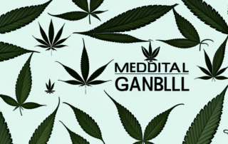 Various medical cannabis products such as oils