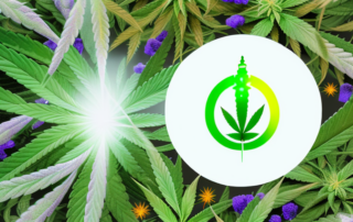 A cbd oil bottle with a halo of light around it