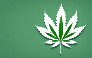 A medical cannabis leaf symbolically emerging from a map of germany