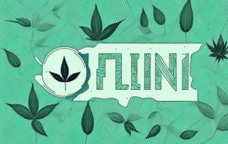 A hemp plant